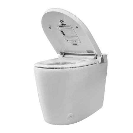 Унитаз напольный Smart Toilet DX-M8